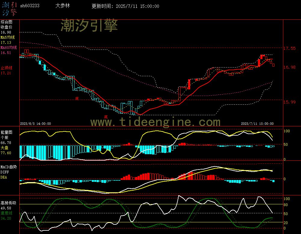 sh603233_60M.jpg