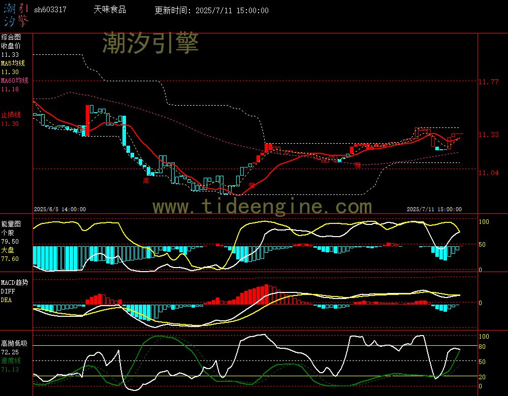 sh603317_60M.jpg